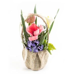 A shot of tulips in a vase