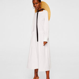 Donec accumsan auctor iaculis